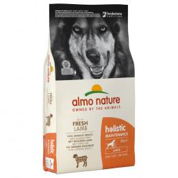 Angebot für 1 kg gratis! 12 kg Almo Nature Holistic - Adult Lamm & Reis Large - Kategorie Hund / Hundefutter trocken / Almo Nature / -.  Lieferzeit: 1-2 Tage -  jetzt kaufen.