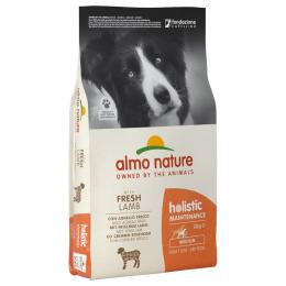 Angebot für 1 kg gratis! 12 kg Almo Nature Holistic - Adult Lamm & Reis Medium - Kategorie Hund / Hundefutter trocken / Almo Nature / -.  Lieferzeit: 1-2 Tage -  jetzt kaufen.