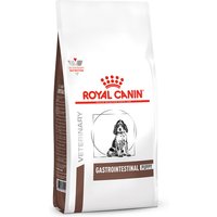 10 kg | Royal Canin Veterinary Diet | Gastro Intestinal Puppy | Trockenfutter | Hund