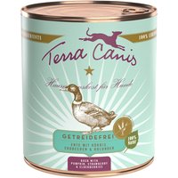 6 x 800 g | Terra Canis | Ente mit Kürbis, Erdbeeren & Holunder Getreidefrei | Nassfutter | Hund