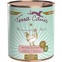 6 x 800 g | Terra Canis | Huhn mit Pastinaken, Löwenzahn & Brombeeren Getreidefrei | Nassfutter | Hund