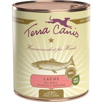 6 x 800 g | Terra Canis | Lachs mit Hirse, Pfirsich & Kräutern Classic | Nassfutter | Hund