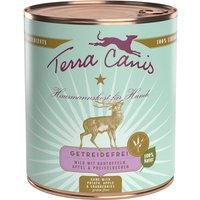 6 x 800 g | Terra Canis | Wild mit Kartoffeln, Apfel & Preiselbeeren Getreidefrei | Nassfutter | Hund