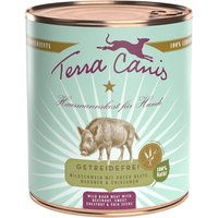 6 x 800 g | Terra Canis | Wildschwein mit Roter Beete, Maronen & Chiasamen Getreidefrei | Nassfutter | Hund