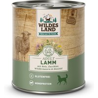 6 x 800 g | Wildes Land | Lamm mit Reis, Zucchini, Wildkräutern und Distelöl Classic Adult | Nassfutter | Hund