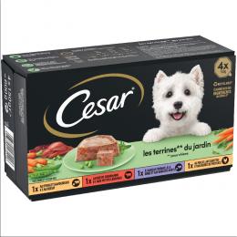 Angebot für Cesar Classic Selection Mixkarton - Garten-Terrine (24 x 150 g) - Kategorie Hund / Hundefutter nass / Cesar / Schalen.  Lieferzeit: 1-2 Tage -  jetzt kaufen.