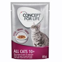 Concept for Life All Cats 10+ - in Soße - Sparpaket: 48 x 85 g