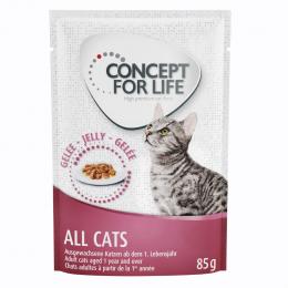 Angebot für Concept for Life All Cats - in Gelee - Sparpaket: 24 x 85 g - Kategorie Katze / Katzenfutter nass / Concept for Life / Adult.  Lieferzeit: 1-2 Tage -  jetzt kaufen.