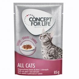 Concept for Life All Cats - in Soße - Sparpaket: 24 x 85 g