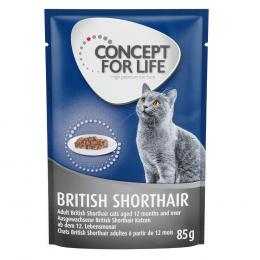 Concept for Life British Shorthair Adult (Ragout-Qualität) - Sparpaket: 24 x 85 g