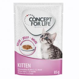 Concept for Life Kitten - in Gelee - Sparpaket: 48 x 85 g