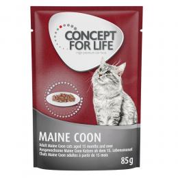 Concept for Life Maine Coon Adult (Ragout-Qualität) - Sparpaket: 48 x 85 g