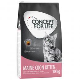 Angebot für Concept for Life Maine Coon Kitten - Verbesserte Rezeptur! - 400 g - Kategorie Katze / Katzenfutter trocken / Concept for Life / Rassefutter.  Lieferzeit: 1-2 Tage -  jetzt kaufen.
