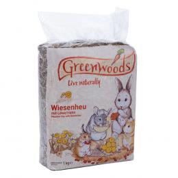 Angebot für Greenwoods Wiesenheu 1 kg - Löwenzahn - Kategorie Kleintier / Nager- & Kleintierfutter / Greenwoods / Wiesenheu für Nager und Kaninchen.  Lieferzeit: 1-2 Tage -  jetzt kaufen.