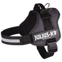 Angebot für JULIUS-K9® Powergeschirr - anthrazit - Größe Mini: 49 - 67 cm Brustumfang - Kategorie Hund / Leinen Halsbänder & Geschirre / Hundegeschirre / JULIUS-K9®.  Lieferzeit: 1-2 Tage -  jetzt kaufen.