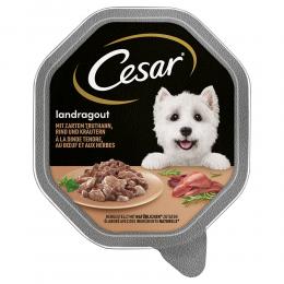 Angebot für Megapack Cesar Schale 14 x 150 g - Landragout mit Truthahn, Rind und Kräutern - Kategorie Hund / Hundefutter nass / Cesar / Schalen.  Lieferzeit: 1-2 Tage -  jetzt kaufen.