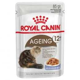 Royal Canin Ageing +12 in Gelee - Sparpaket: 48 x 85 g