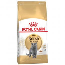 Angebot für Royal Canin Breed British Shorthair Adult - 10 kg - Kategorie Katze / Katzenfutter trocken / Royal Canin Breed (Rasse) / British Shorthair.  Lieferzeit: 1-2 Tage -  jetzt kaufen.