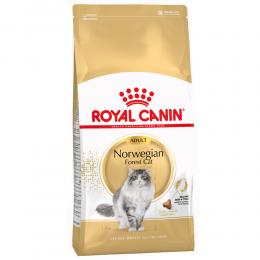 Royal Canin Breed Norwegische Waldkatze Adult - Sparpaket: 2 x 10 kg