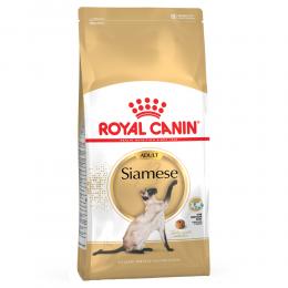 Angebot für Royal Canin Breed Siamese Adult - 10 kg - Kategorie Katze / Katzenfutter trocken / Royal Canin Breed (Rasse) / Siamese.  Lieferzeit: 1-2 Tage -  jetzt kaufen.