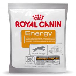 Royal Canin Energy - Sparpaket: 10 x 50 g