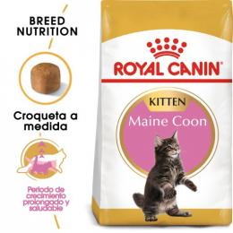 Royal Canin Kitten Maine Coon 36 10 Kg