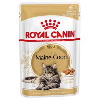 Angebot für Royal Canin Maine Coon Adult in Soße - 12 x 85 g - Kategorie Katze / Katzenfutter nass / Royal Canin / Royal Canin Breed.  Lieferzeit: 1-2 Tage -  jetzt kaufen.