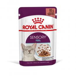 Royal Canin Sensory Feel in Soße - Sparpaket: 96 x 85 g
