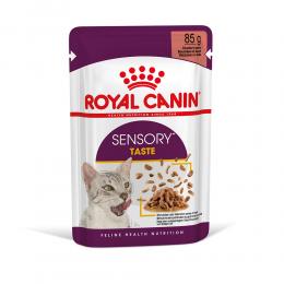 Royal Canin Sensory Taste in Soße - Sparpaket: 48 x 85 g