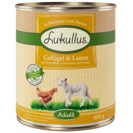 Angebot für Sparpaket Lukullus Naturkost 24 x 800 g - Adult Geflügel & Lamm (getreidefrei) - Kategorie Hund / Hundefutter nass / Lukullus Naturkost / Lukullus Sparpakete.  Lieferzeit: 1-2 Tage -  jetzt kaufen.