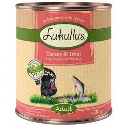 Angebot für Sparpaket Lukullus Naturkost 24 x 800 g - Adult Truthahn & Forelle (getreidefrei) - Kategorie Hund / Hundefutter nass / Lukullus Naturkost / Lukullus Sparpakete.  Lieferzeit: 1-2 Tage -  jetzt kaufen.