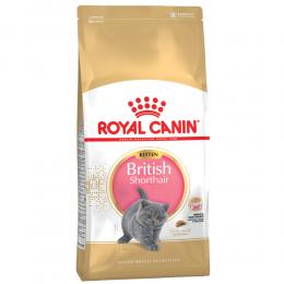 Angebot für Sparpaket Royal Canin Breed 2 x Großgebinde - British Shorthair Kitten (2 x 10 kg) - Kategorie Katze / Katzenfutter trocken / Royal Canin Breed (Rasse) / Royal Canin Spar-& Mischpakete.  Lieferzeit: 1-2 Tage -  jetzt kaufen.
