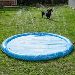 Angebot für TIAKI Hundepool Splash - Ø 120 cm - Kategorie Hund / Hundespielzeug / Wasserspielzeug / Schwimmspielzeug.  Lieferzeit: 1-2 Tage -  jetzt kaufen.