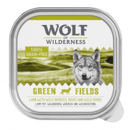 Wolf of Wilderness Adult - Single Protein 6 / 24 x 300 g Schale  - 24 x 300 g: Green Fields - Lamm