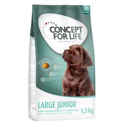 1 kg / 1,5 kg Concept for Life zum Probierpreis! - 1.5 kg Large Junior