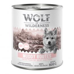 10 € Rabatt sichern! Sparpaket Wolf of Wilderness 24 x 800 g - JUNIOR Muddy Routes - Geflügel mit Schwein