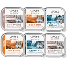 10% Rabatt! Wolf of Wilderness Mixpakete - Junior, Adult & Senior - 6 x 150 g (Schale): Huhn, Fisch, Schwein