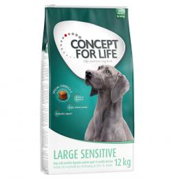 12 kg Concept for Life zum Sonderpreis! - Large Sensitive