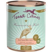 12 x 800 g | Terra Canis | Pute mit Sellerie, Kürbis & Brunnenkresse Getreidefrei | Nassfutter | Hund