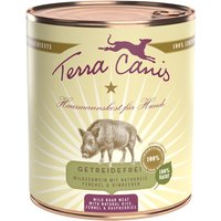 12 x 800 g | Terra Canis | Wildschwein mit Naturreis, Fenchel & Himbeeren Classic | Nassfutter | Hund