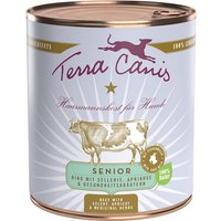 24 x 800 g | Terra Canis | Rind mit Sellerie, Aprikose & Gesundheitskräutern Senior | Nassfutter | Hund