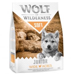 3 + 1 gratis! 4 x 1 kg Wolf of Wilderness - JUNIOR Wide Acres - Huhn (halbfeucht)