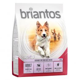 Angebot für Briantos Adult Lachs & Reis - Sparpaket: 4 x 1 kg - Kategorie Hund / Hundefutter trocken / Briantos / Briantos Adult.  Lieferzeit: 1-2 Tage -  jetzt kaufen.