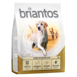 Angebot für Briantos Adult Maxi - Sparpaket: 4 x 1 kg - Kategorie Hund / Hundefutter trocken / Briantos / Briantos Adult.  Lieferzeit: 1-2 Tage -  jetzt kaufen.