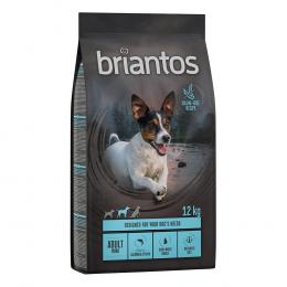 Briantos Mini Trockenfutter 1 kg gratis! - Adult Mini Lachs (12 kg) - GETREIDEFREI