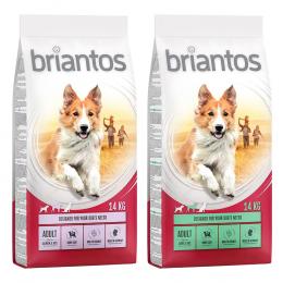 Briantos Sparpaket (2 x Großgebinde) - Mix Adult: Lachs + Lamm (2 x 14 kg)
