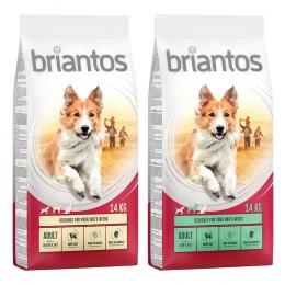 Briantos Sparpaket (2 x Großgebinde) - Mix Adult: Lamm + Huhn (2 x 14 kg)