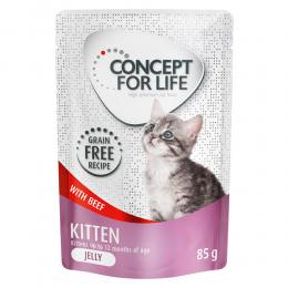 Angebot für Concept for Life Kitten Rind getreidefrei - in Gelee - 12 x 85 g - Kategorie Katze / Katzenfutter nass / Concept for Life / getreidefrei.  Lieferzeit: 1-2 Tage -  jetzt kaufen.