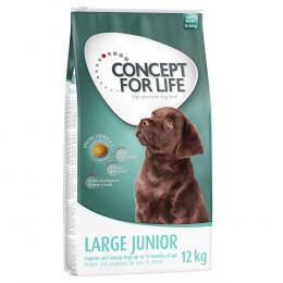 Concept for Life Large Puppy & Junior Welpenfutter für große Rassen - 12 kg