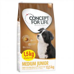 Concept for Life Medium Junior - 12 kg + 1,5 kg gratis!